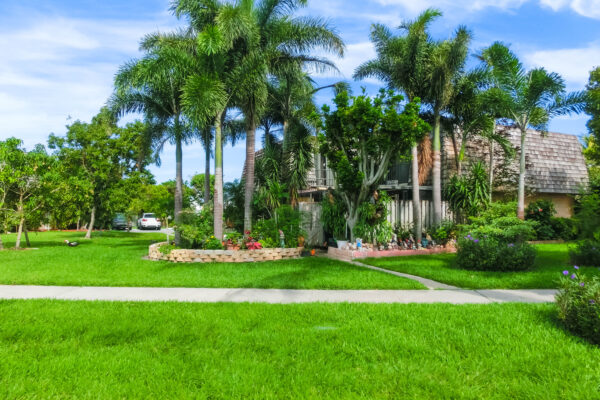 South Florida single-family home with palm trees illustrating the 2026 Florida property tax changes for homeowners